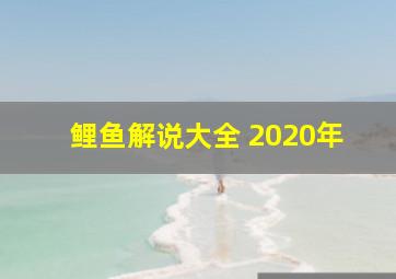 鲤鱼解说大全 2020年